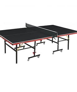 Indoor Table Tennis
